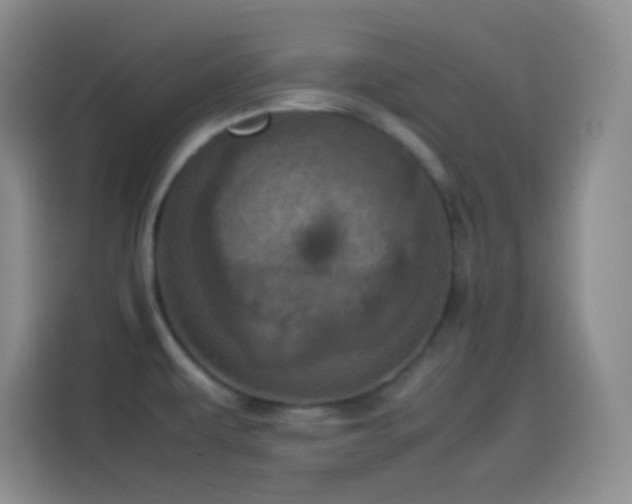 X0000114091479200910131246