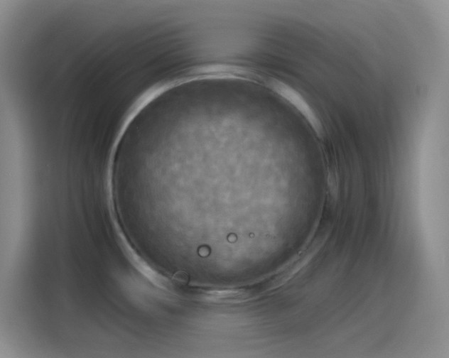 X0000114091482200910131246