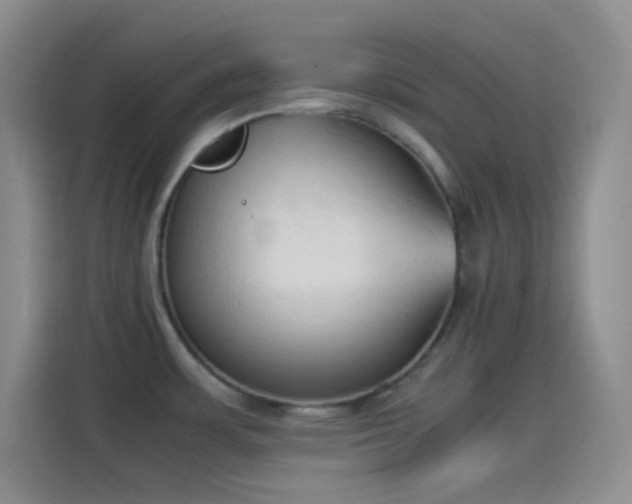 X0000114091483200910131246