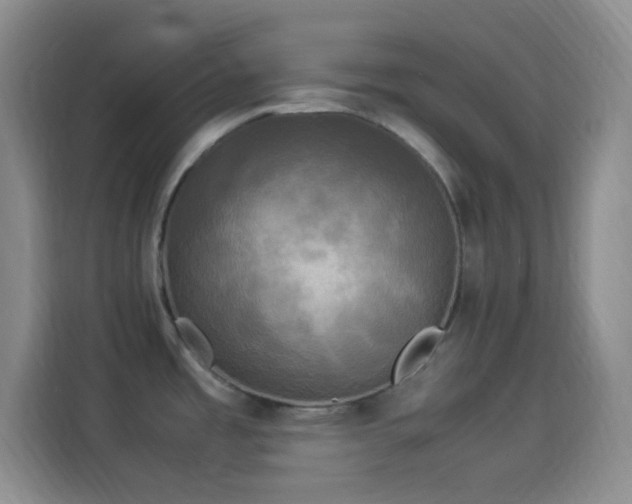 X0000114091485200910131246