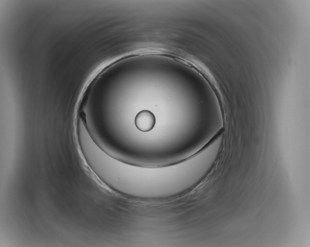 X0000114091488200910131246
