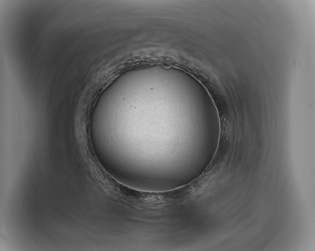 X0000114091489200910131246