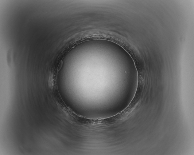X0000114091490200910131246