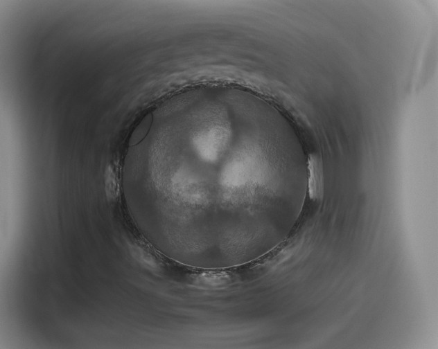 X0000114091491200910131246