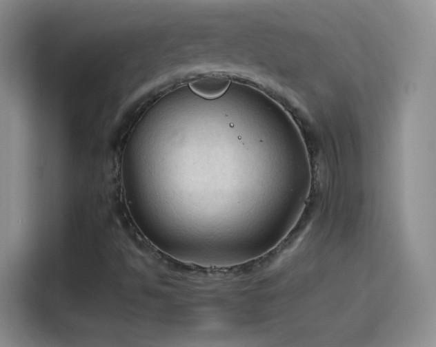 X0000114091494200910131246