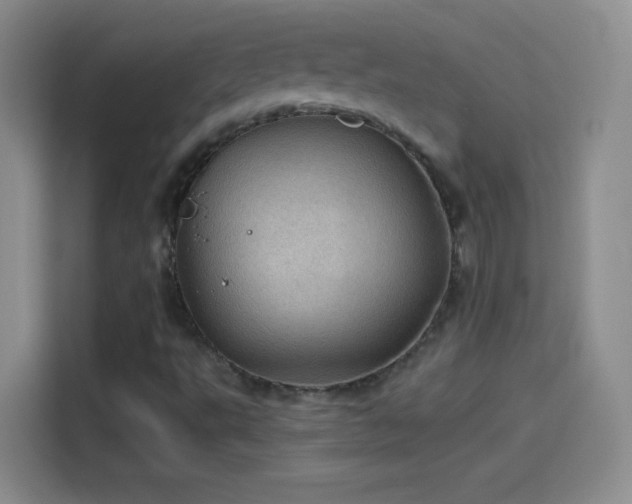 X0000114091495200910131246