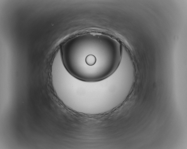 X0000114091496200910131246
