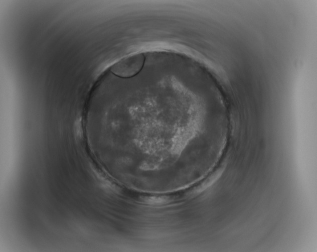 X0000114091497200910131246