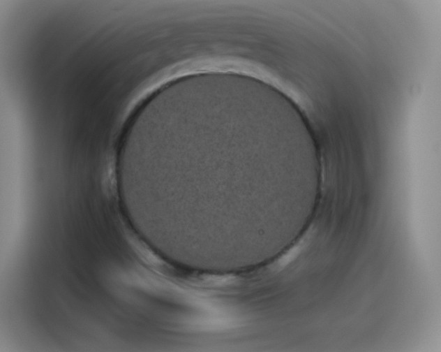 X0000114091498200910131246