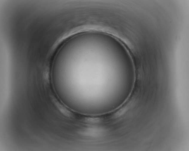 X0000114091499200910131246
