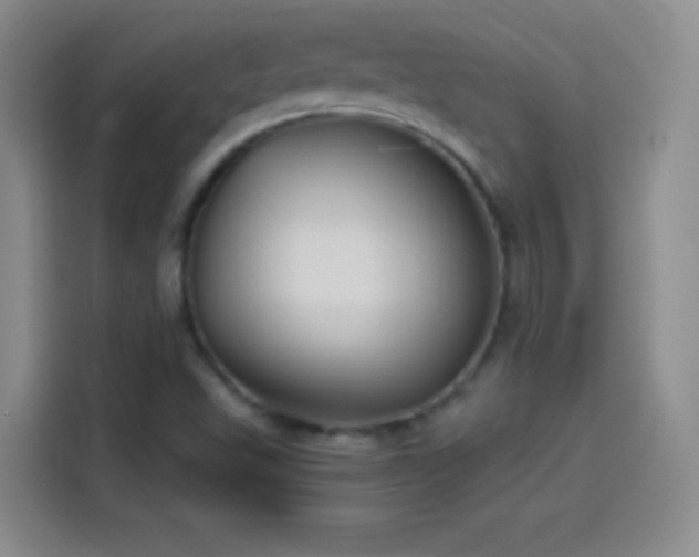 X0000114091503200910131246