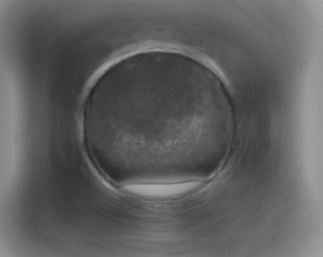 X0000114091504200910131246