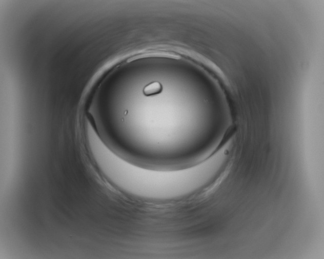X0000114091506200910131246