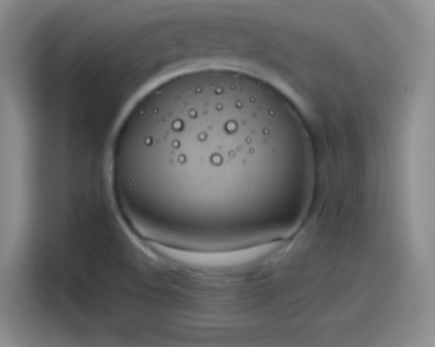 X0000114091508200910131246