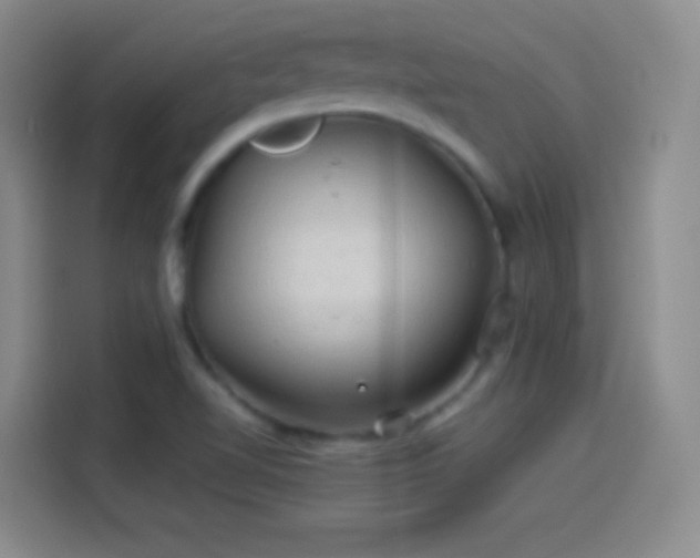X0000114091510200910131246