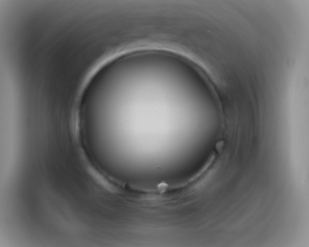 X0000114091511200910131246