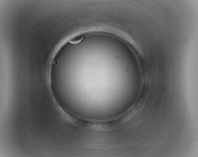 X0000114091512200910131246
