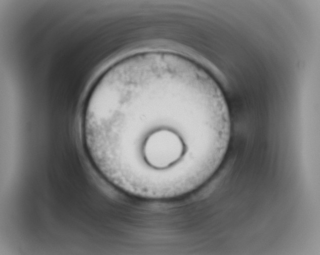X0000114091514200910131246