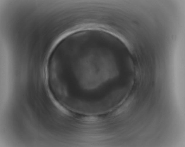 X0000114091515200910131246
