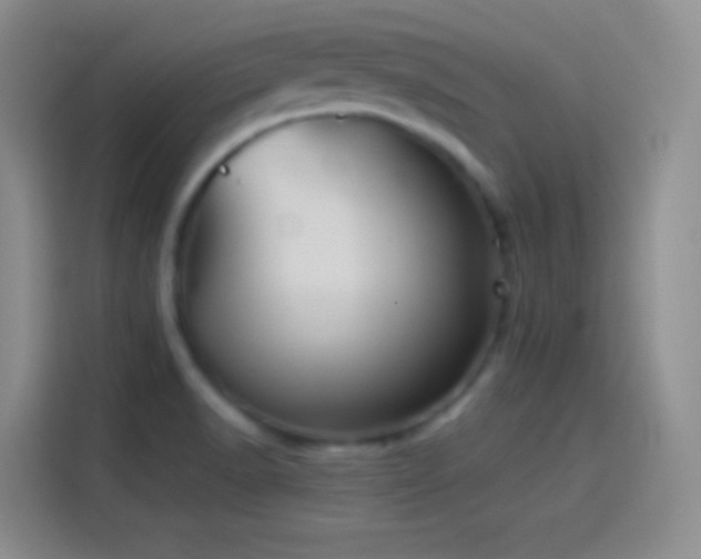 X0000114091518200910131246