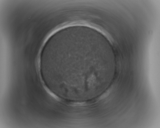 X0000114091519200910131246