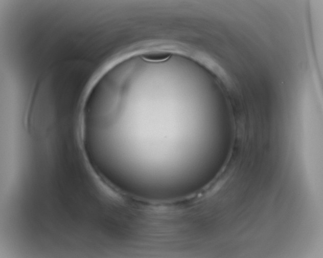X0000114091520200910131246