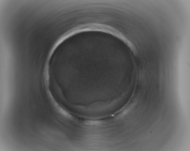 X0000114091522200910131246