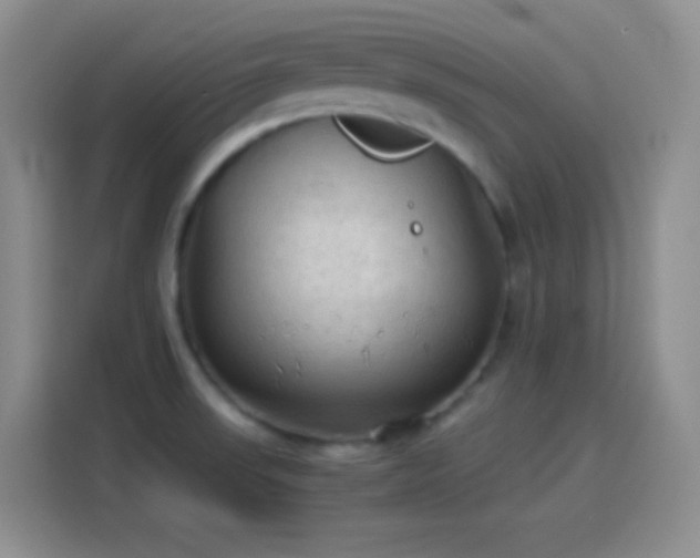 X0000114091523200910131246