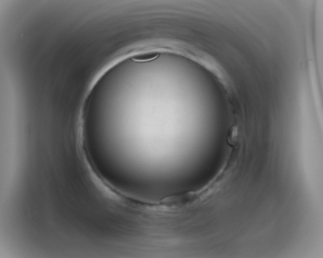 X0000114091524200910131246