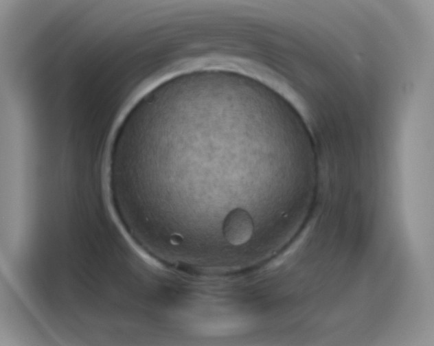 X0000114091525200910131246