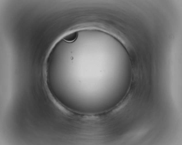 X0000114091526200910131246