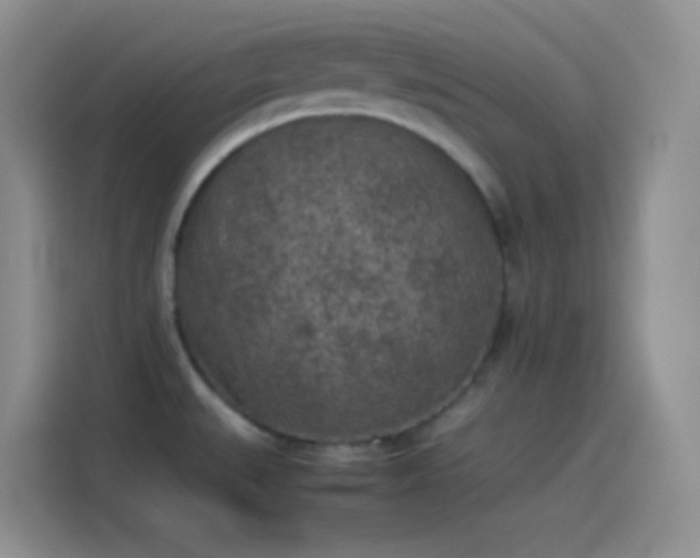 X0000114091527200910131246