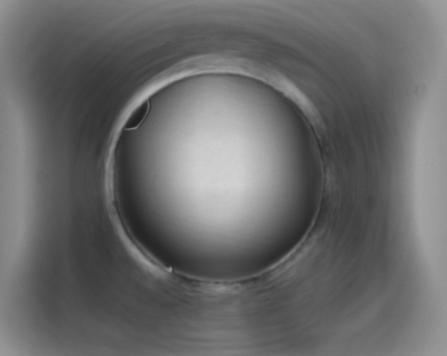 X0000114091528200910131246