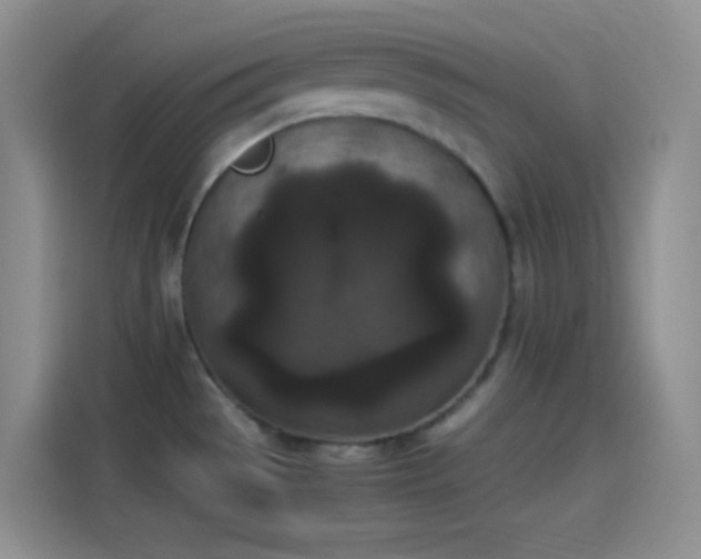 X0000114091529200910131246