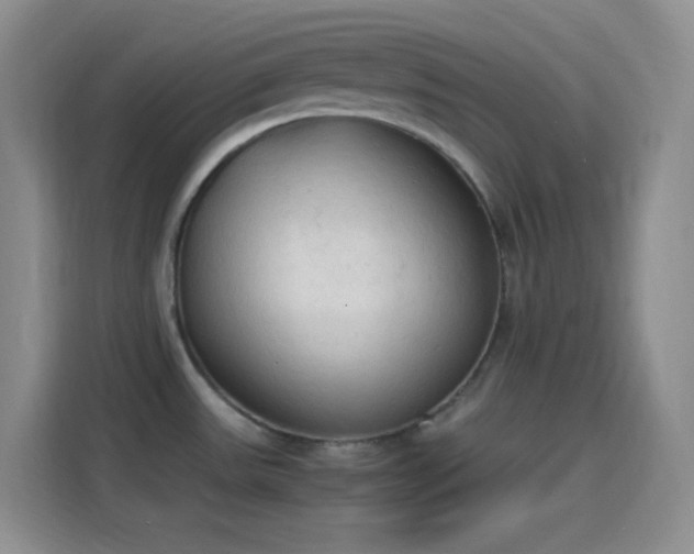 X0000114091531200910131246