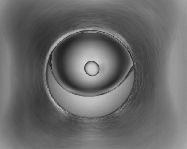 X0000114091536200910131246