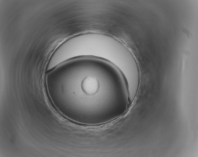 X0000114090001200910191613