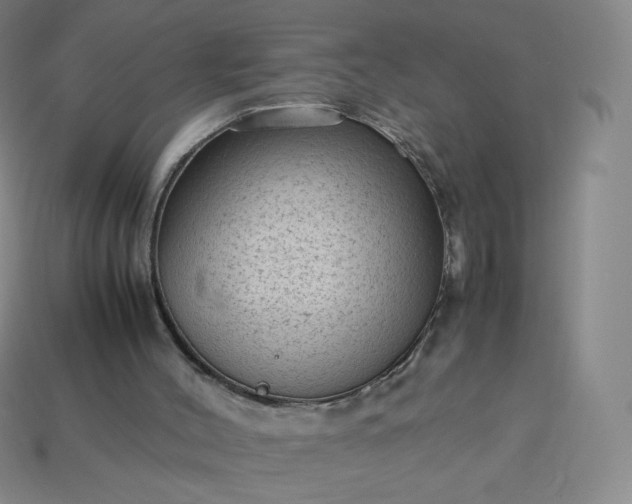 X0000114090004200910191613