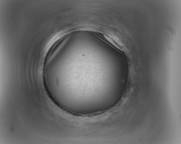 X0000114090007200910191613