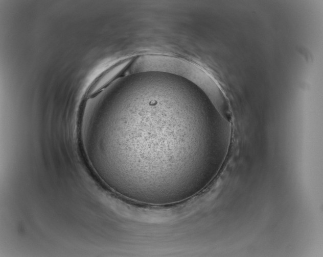 X0000114090008200910191613