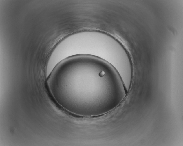 X0000114090009200910191613