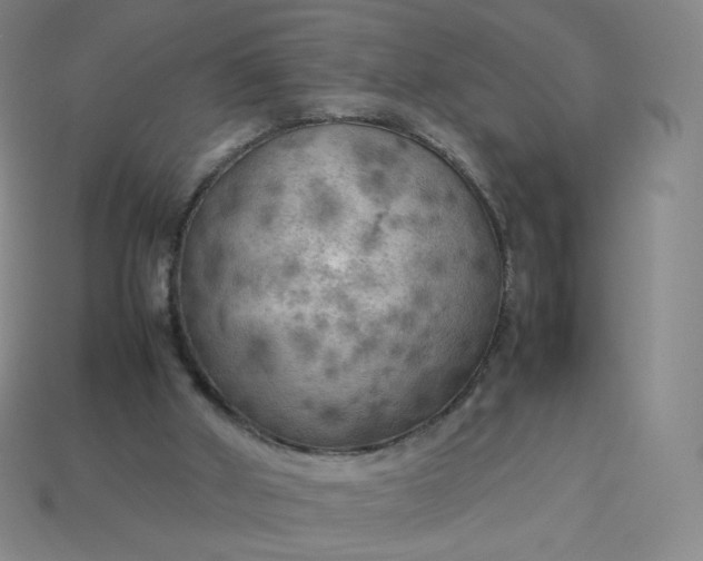 X0000114090010200910191613