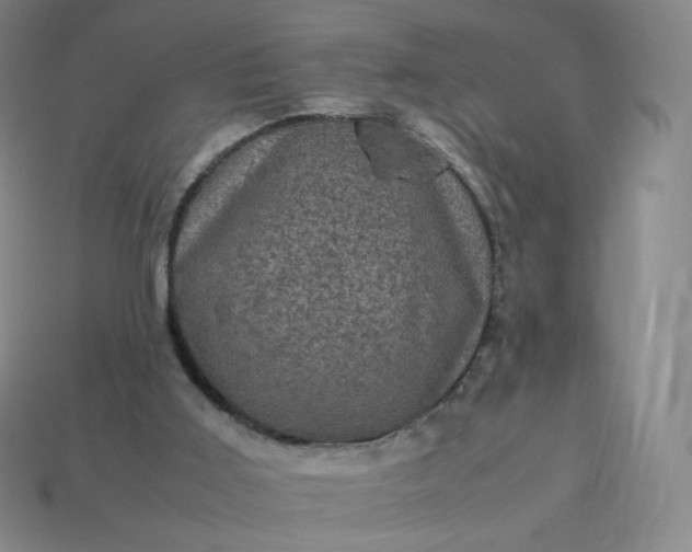 X0000114090011200910191613
