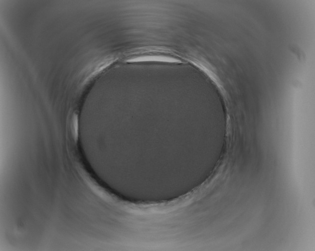 X0000114090013200910191613