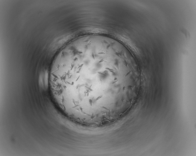 X0000114090014200910191613