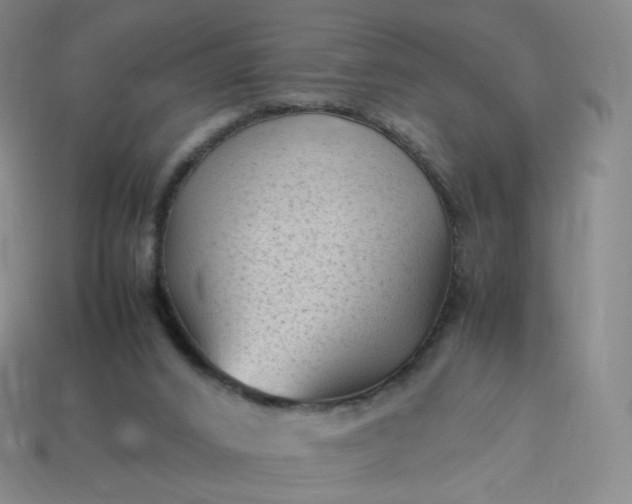 X0000114090016200910191613