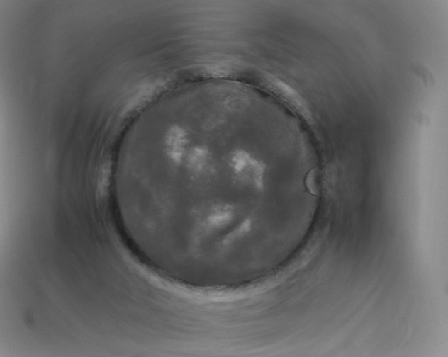 X0000114090018200910191613