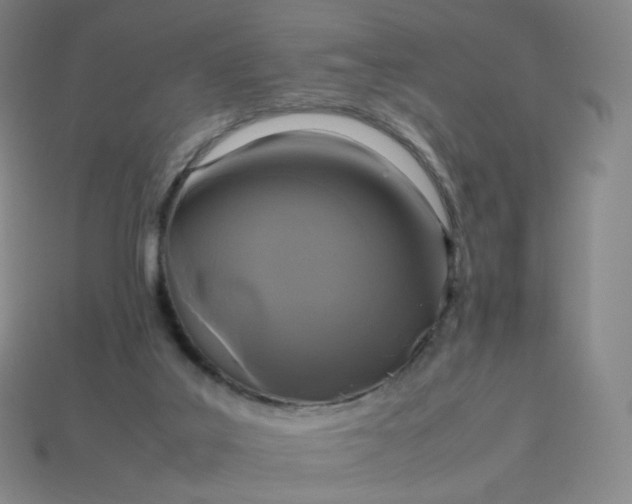 X0000114090019200910191613