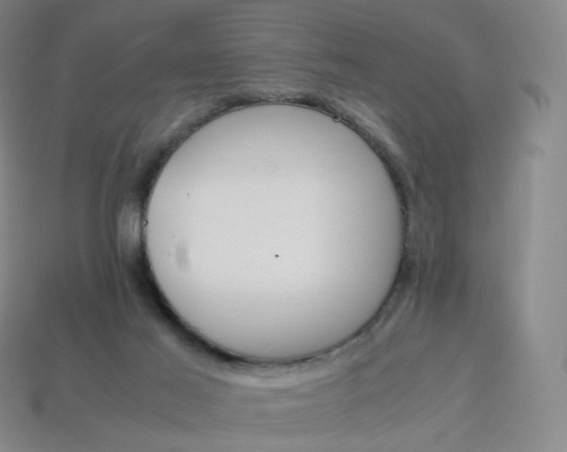 X0000114090021200910191613