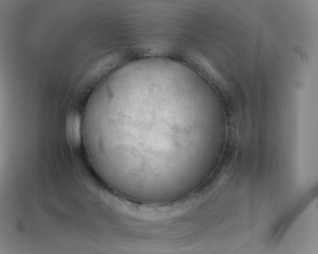 X0000114090022200910191613